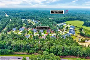 316 Pine Laurel Dr, Carthage, NC 28327 - Photo 46