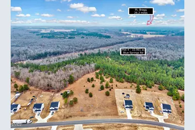 Lot 4 Blue Springs Road, Red Springs, NC 28377 - Photo 4
