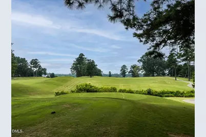 191 Solheim Lane, Raleigh, NC 27603 - Photo 36