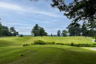 191 Solheim Ln, Raleigh, NC 27603 - Photo 36