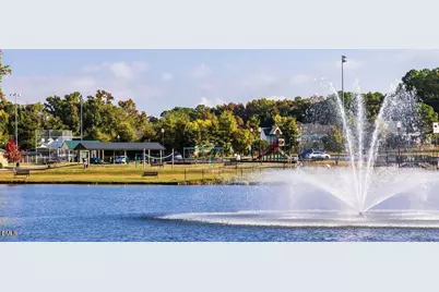 229 Blue Butterfly Drive, Angier, NC 27501 - Photo 46