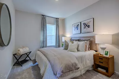 266 Blue Butterfly Drive, Angier, NC 27501 - Photo 18