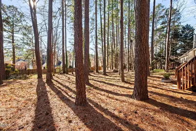 402 Lippershey Court, Cary, NC 27513 - Photo 48