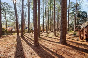 402 Lippershey Ct, Cary, NC 27513 - Photo 48