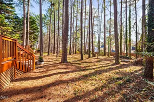 402 Lippershey Ct, Cary, NC 27513 - Photo 40