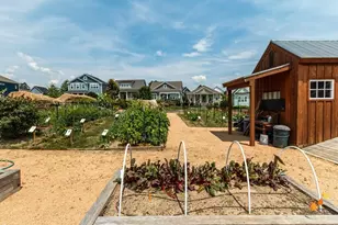 56 Post Oak Rd, Chapel Hill, NC 27516 - Photo 76