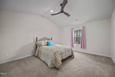 358 Coleshill Road, Angier, NC 27501 - Photo 14