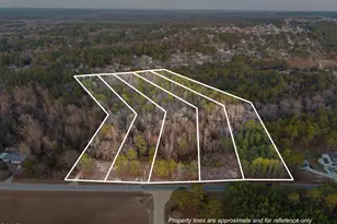 862 Roberts Rd, Sanford, NC 27332 - Photo 1