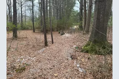 8613 Breezy Grove Trail, Wake Forest, NC 27587 - Photo 4