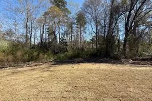 144 Stout Lndg, Dunn, NC 28334 - Photo 4