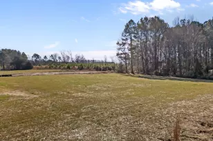 203 Little Lady Trl, Zebulon, NC 27597 - Photo 24