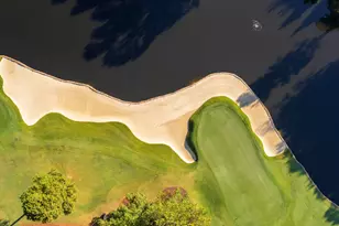 81502 Alexander, Chapel Hill, NC 27517 - Photo 64