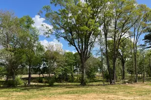 826 Olive Br Dr, Smithfield, NC 27577 - Photo 24