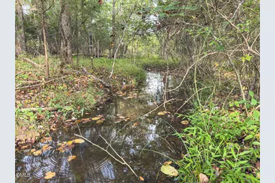 00 Mann Oakley Road, Rougemont, NC 27572 - Photo 2
