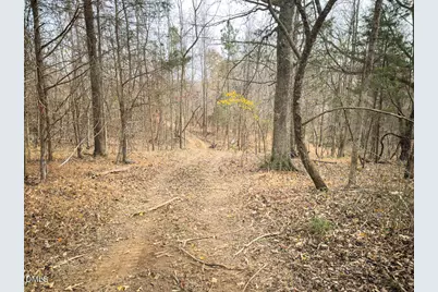 00 Mann Oakley Road, Rougemont, NC 27572 - Photo 48