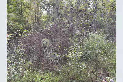 00 Mann Oakley Road, Rougemont, NC 27572 - Photo 22