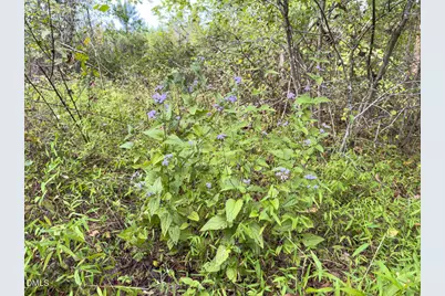 00 Mann Oakley Road, Rougemont, NC 27572 - Photo 42