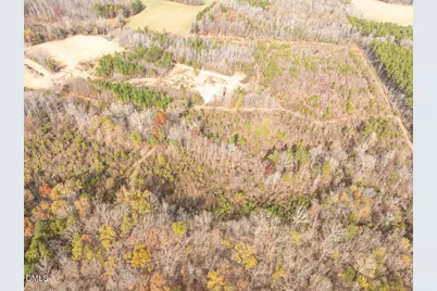 00 Mann Oakley Road, Rougemont, NC 27572 - Photo 12