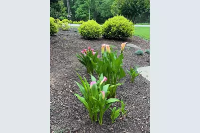 7516 Apex Barbecue Road, Apex, NC 27502 - Photo 36