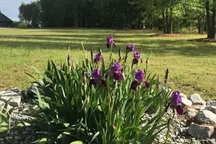 7516 Apex Barbecue Rd, Apex, NC 27502 - Photo 40