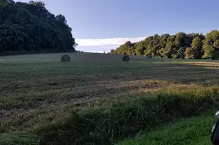 1110 Pleasant Hill Church Rd, Siler City, NC 27344 - Photo 82