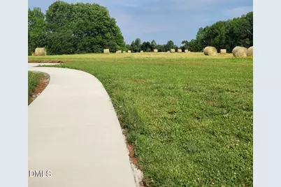 1110 Pleasant Hill Church Road, Siler City, NC 27344 - Photo 10