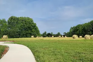 1110 Pleasant Hill Church Rd, Siler City, NC 27344 - Photo 10