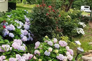 1110 Pleasant Hill Church Rd, Siler City, NC 27344 - Photo 80