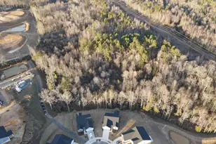 95 Saddleback Rd, Angier, NC 27526 - Photo 48