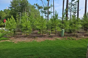 2005 Lambert Rd, Cary, NC 27519 - Photo 8