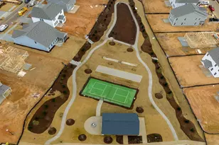 1040 Bolton Pointe Dr, Zebulon, NC 27597 - Photo 48