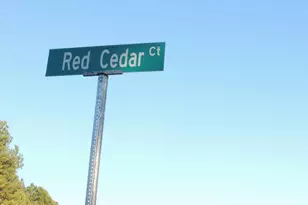 1234 Red Cedar Ct, Youngsville, NC 27596 - Photo 28