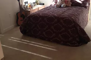 131 Alamosa Pl, Cary, NC 27519 - Photo 22