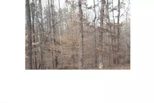 00 Mountain View, Pelham, NC 27311 - Photo 1