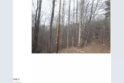 00 Mountain View, Pelham, NC 27311 - Photo 2