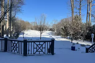 4816 Salem Ridge Rd, Holly Springs, NC 27540 - Photo 56