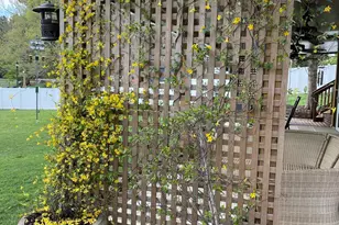 735 Cross Link Dr, Angier, NC 27501 - Photo 52