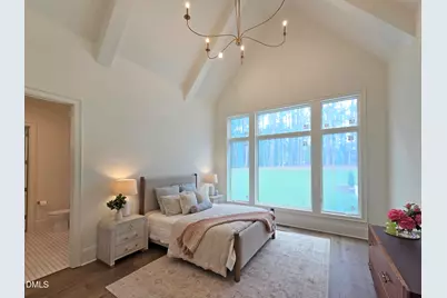 6460 Sanctuary Falls Drive, Raleigh, NC 27614 - Photo 28