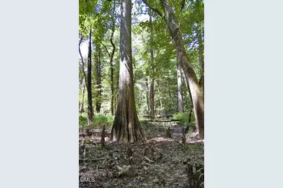 2 Nc Highway 33, Tarboro, NC 27886 - Photo 48