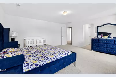 54 Horseshoe Place, Angier, NC 27501 - Photo 34