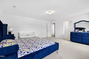 54 Horseshoe Pl, Angier, NC 27501 - Photo 34