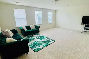 54 Horseshoe Pl, Angier, NC 27501 - Photo 26