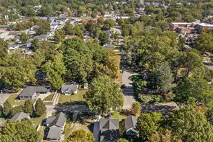 203 W W Blanche Street St, Clayton, NC 27520 - Photo 4