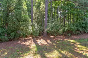 309 Baneberry Close, Pittsboro, NC 27312 - Photo 32