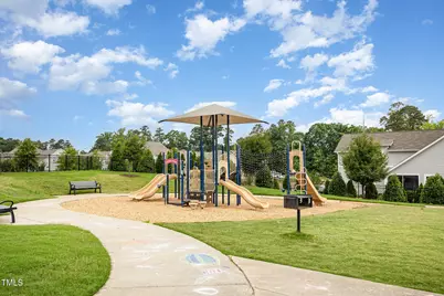 217 Jones Hill Road, Holly Springs, NC 27540 - Photo 36