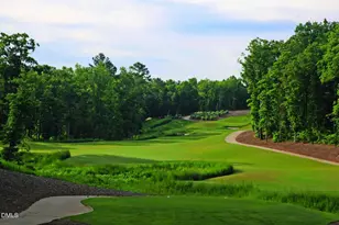 401 Morning Oaks Dr, Holly Springs, NC 27540 - Photo 60