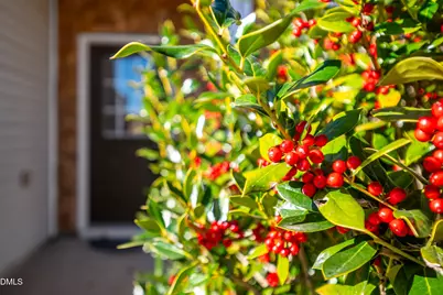 3548 Althorp Drive, Raleigh, NC 27616 - Photo 2