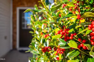 3548 Althorp Drive, Raleigh, NC 27616 - Photo 2