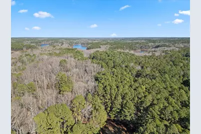 13616 New Light Road, Raleigh, NC 27614 - Photo 54