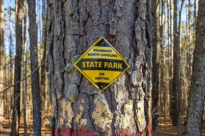 13616 New Light Road, Raleigh, NC 27614 - Photo 52